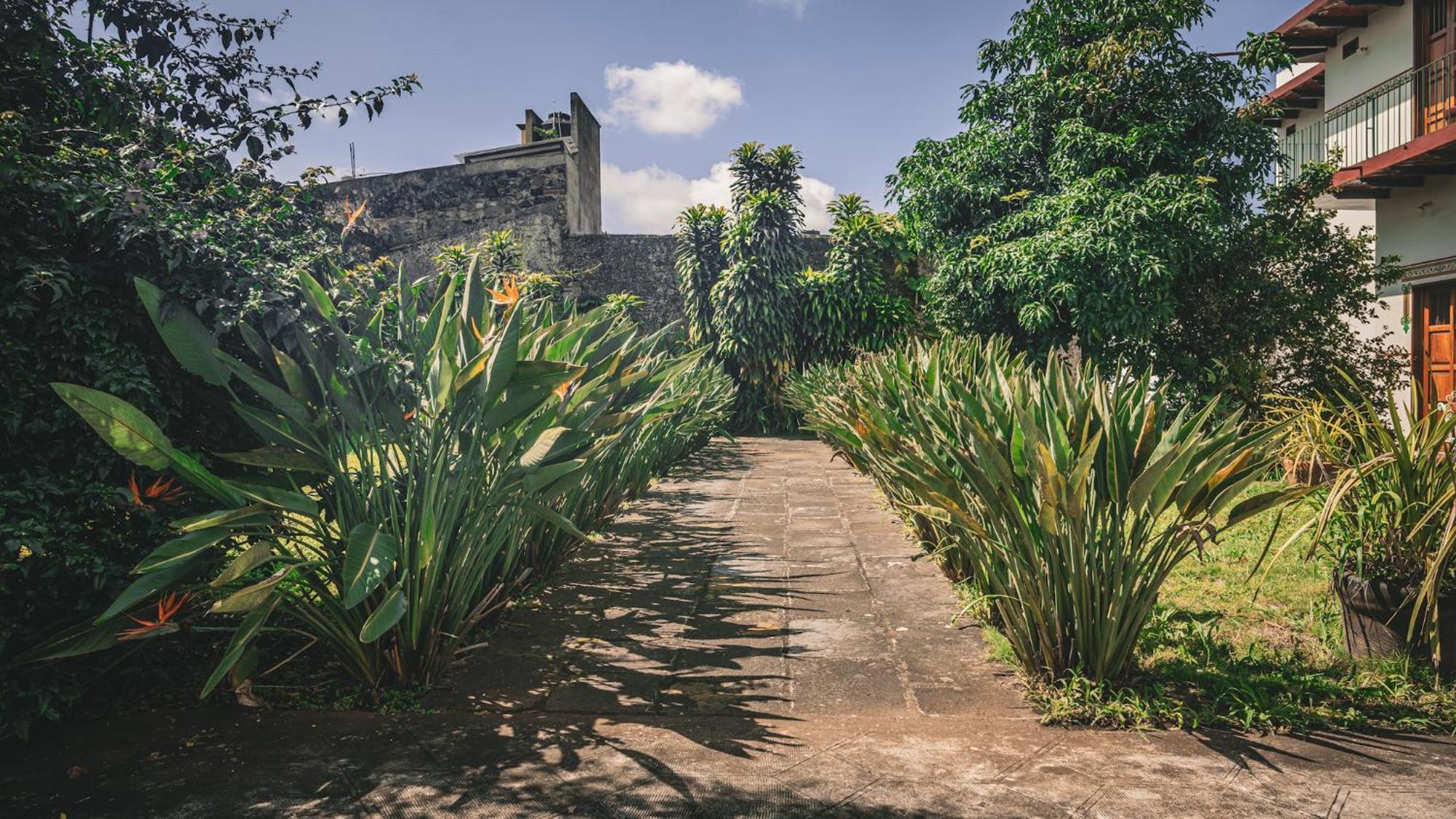 Hotel Montecillo Coatepec  Extérieur photo